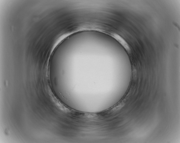 X0000095941052200801110850