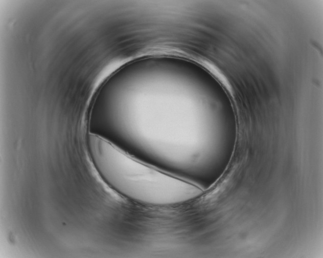 X0000095941053200801110850
