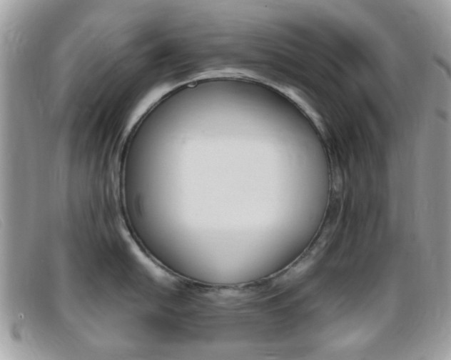 X0000095941054200801110850