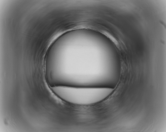 X0000095941055200801110850