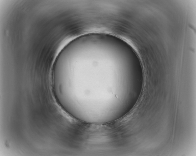 X0000095941056200801110850