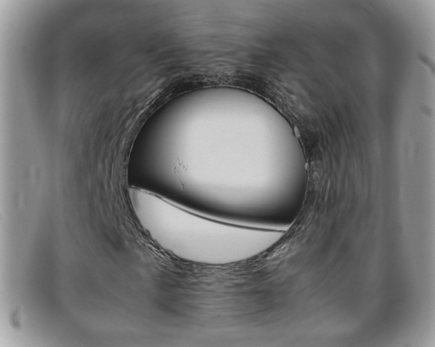 X0000095941057200801110850