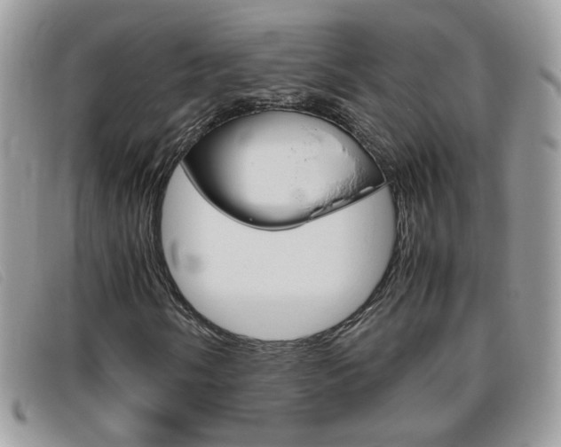 X0000095941058200801110850
