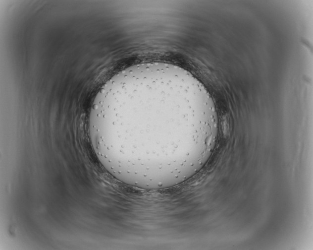 X0000095941059200801110850