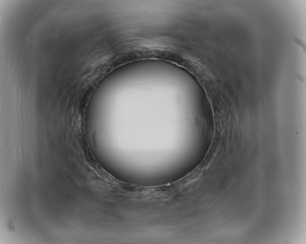 X0000095941061200801110850