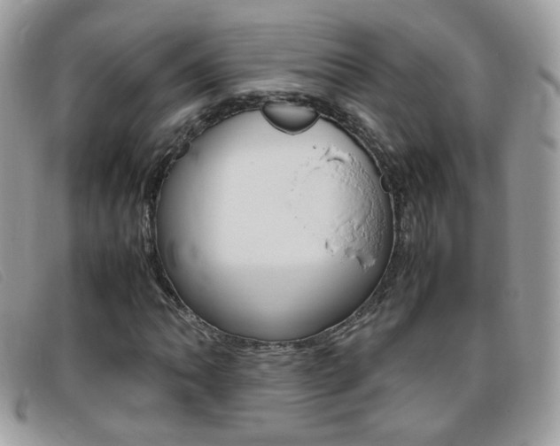 X0000095941062200801110850