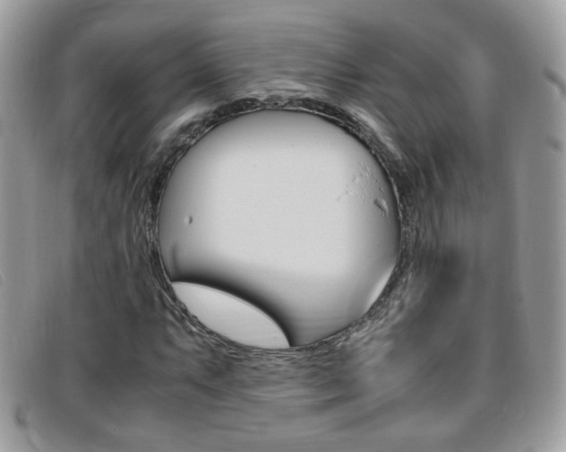 X0000095941063200801110850
