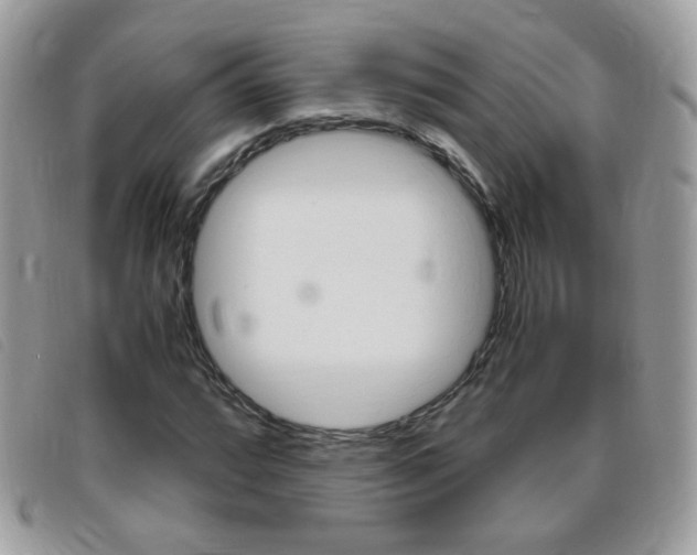 X0000095941064200801110850