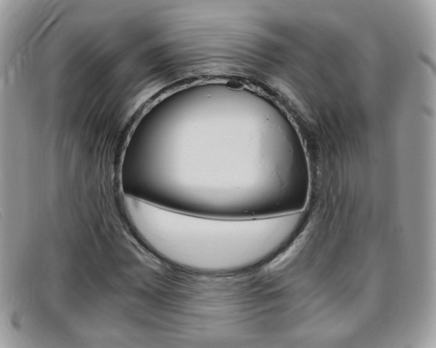 X0000095941065200801110849