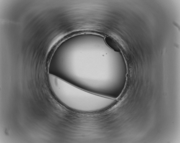 X0000095941069200801110849