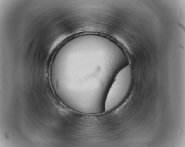 X0000095941070200801110849