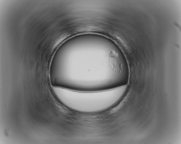 X0000095941073200801110849