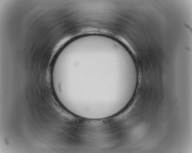 X0000095941074200801110849