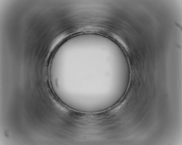 X0000095941075200801110849
