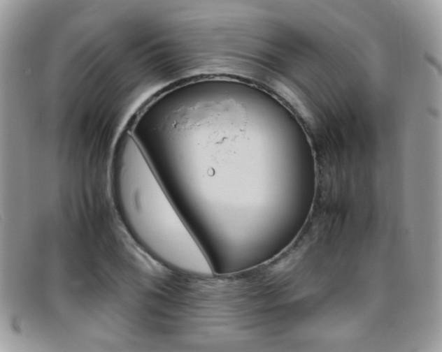 X0000095941076200801110849