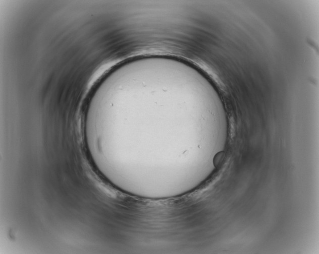 X0000095941078200801110849