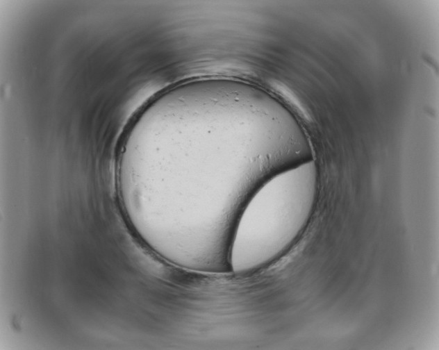 X0000095941079200801110849
