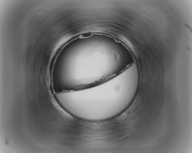 X0000095941080200801110849
