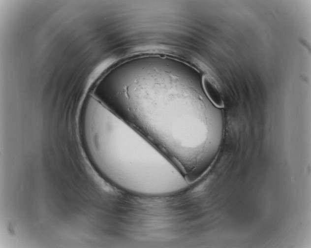 X0000095941082200801110849