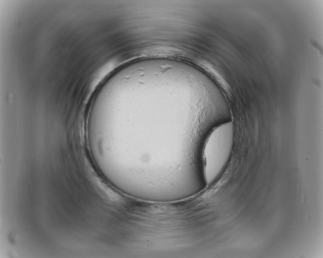X0000095941083200801110849