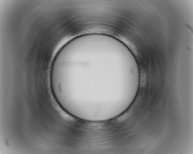 X0000095941086200801110849