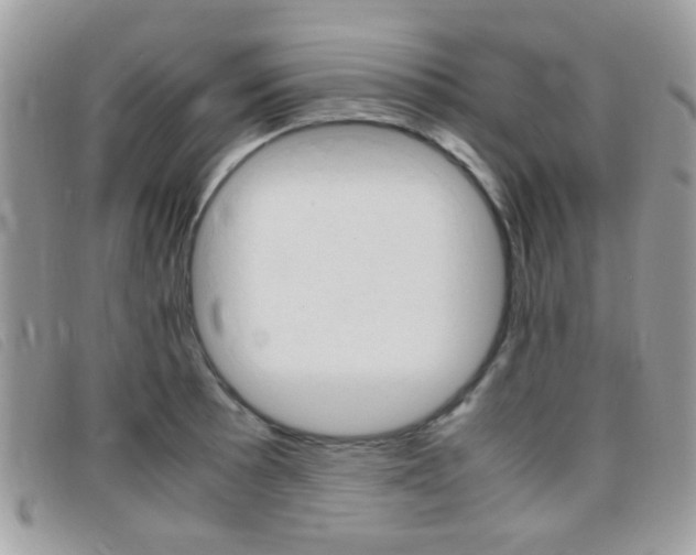 X0000095941089200801110849