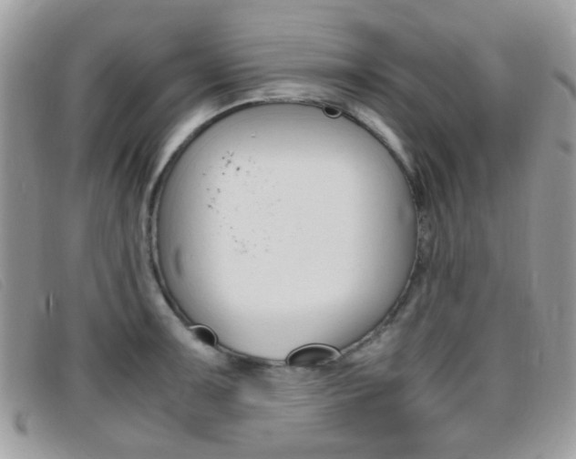 X0000095941091200801110849