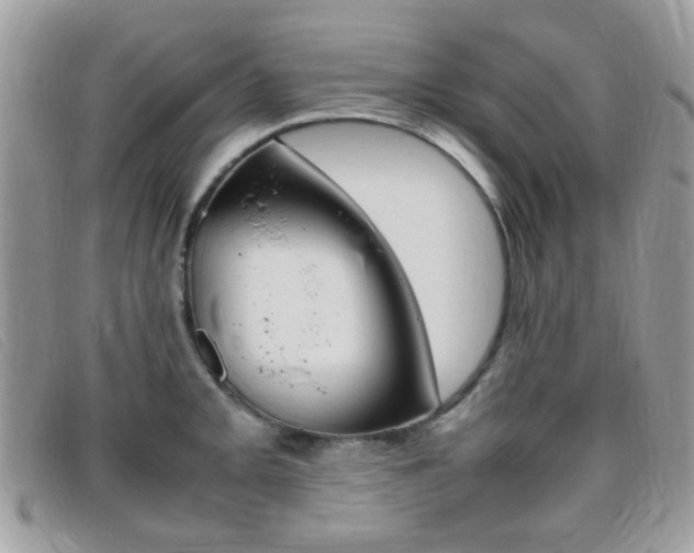 X0000095941093200801110849