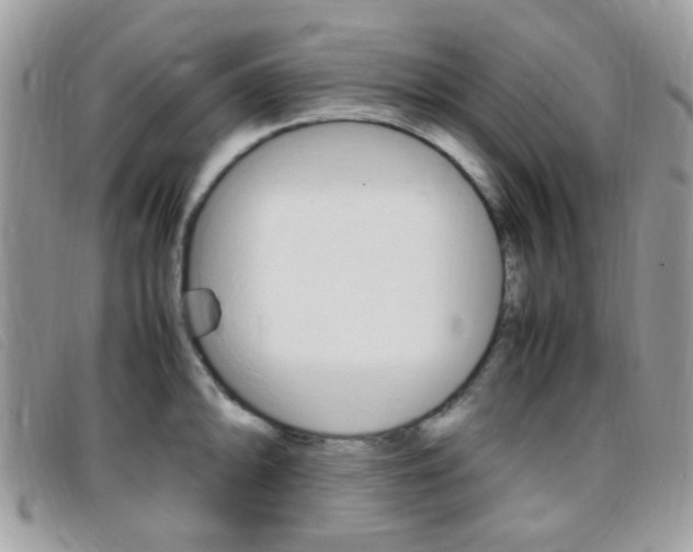 X0000095941094200801110849