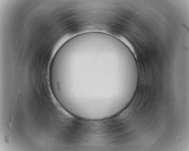 X0000095941096200801110849
