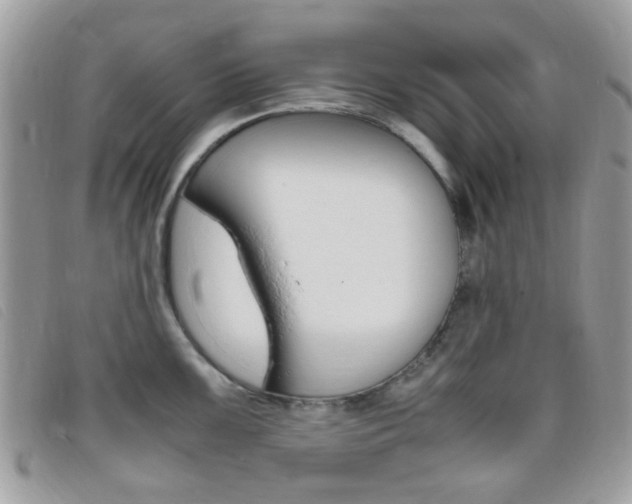 X0000095941099200801110849