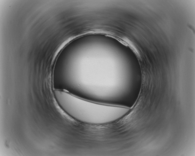 X0000095941100200801110849