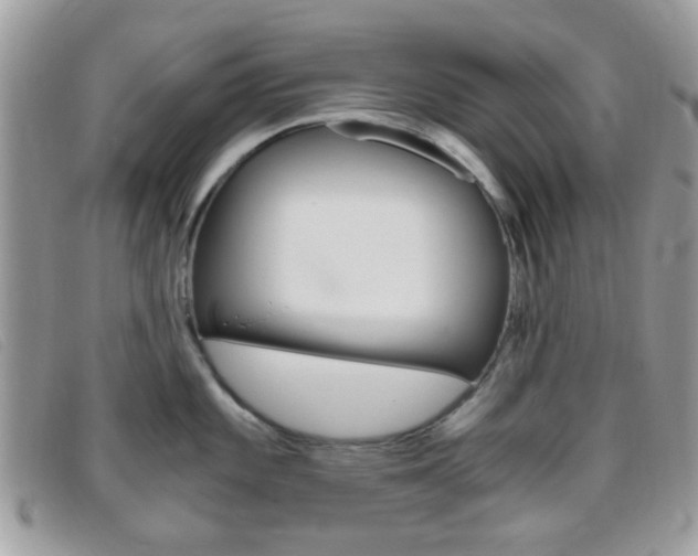 X0000095941101200801110849