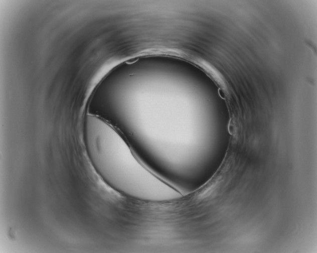 X0000095941102200801110849