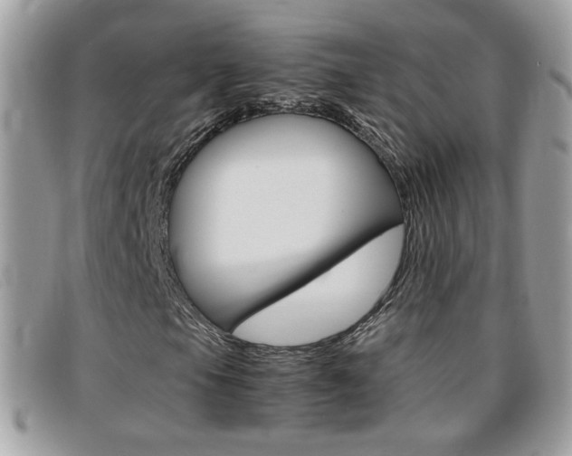 X0000095941105200801110848