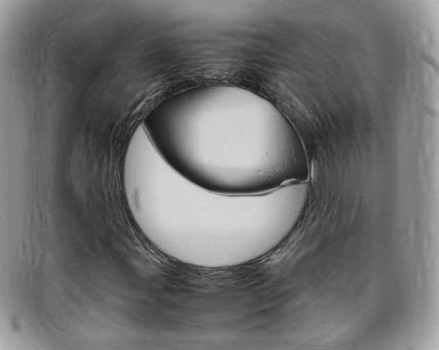 X0000095941107200801110848