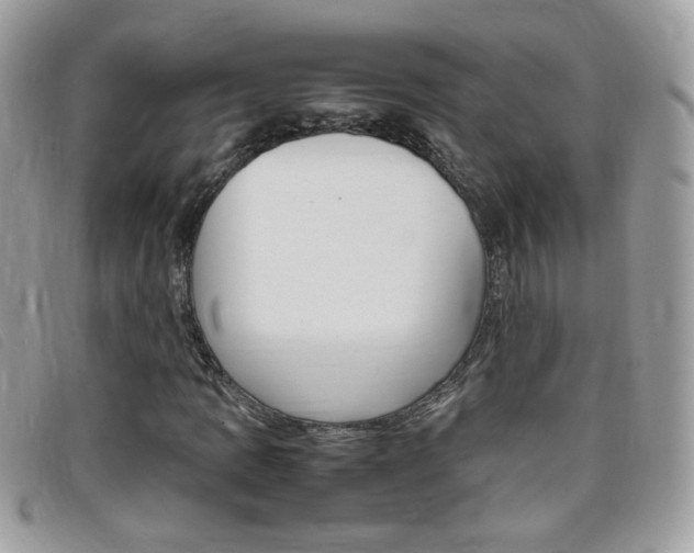 X0000095941109200801110848