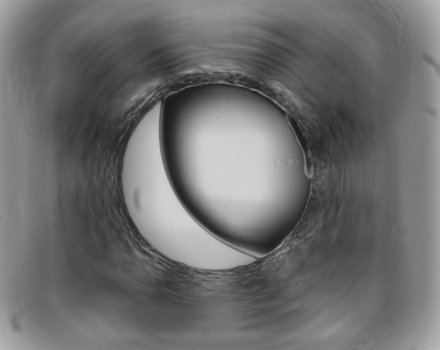 X0000095941110200801110848