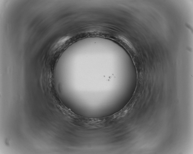 X0000095941111200801110848