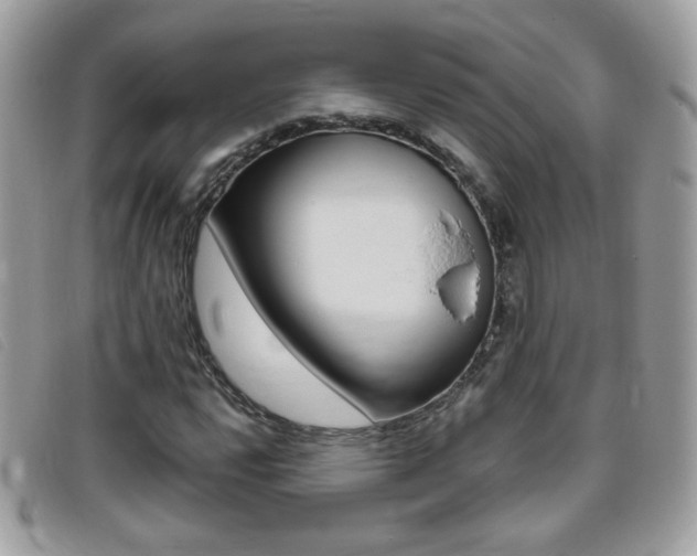 X0000095941112200801110848
