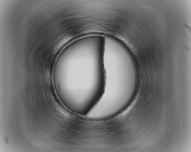 X0000095941113200801110848