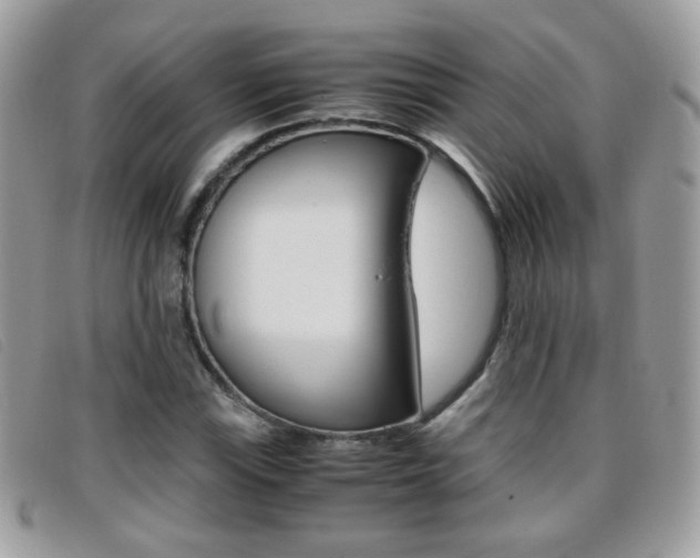 X0000095941115200801110848