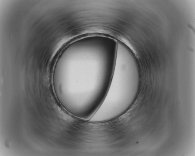 X0000095941116200801110848