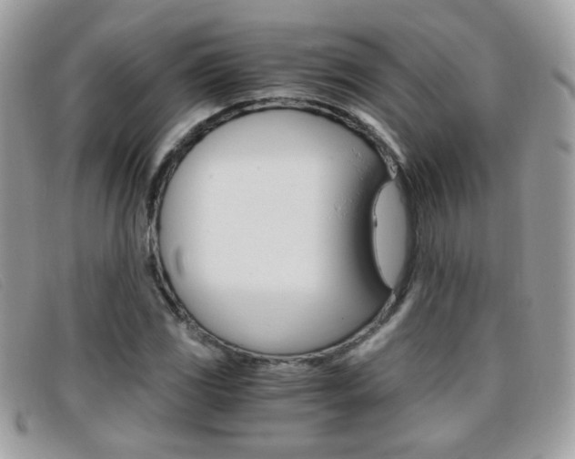 X0000095941117200801110848