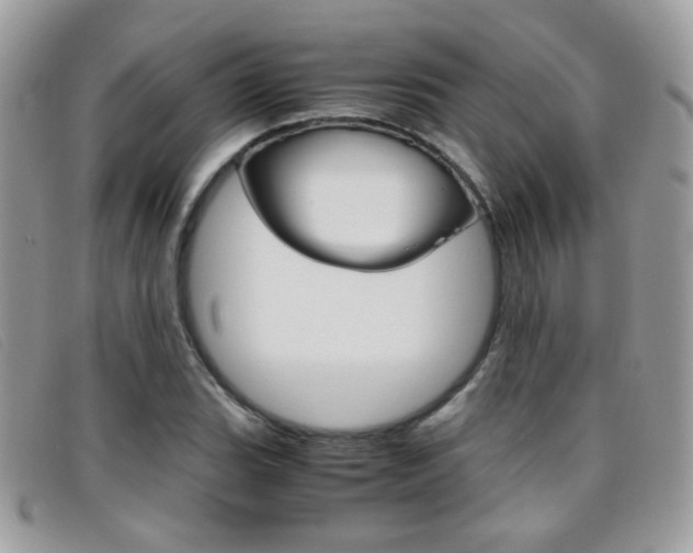 X0000095941119200801110848