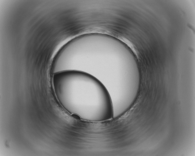 X0000095941120200801110848