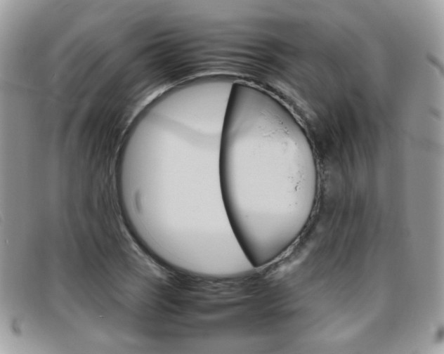 X0000095941121200801110848
