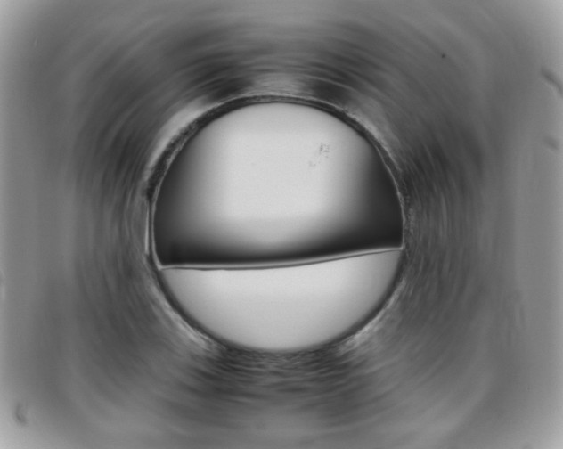 X0000095941123200801110848