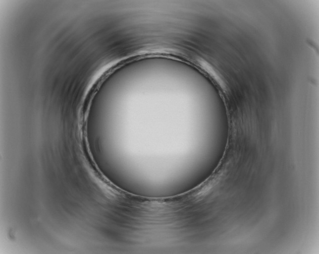 X0000095941124200801110848