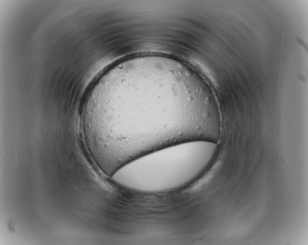 X0000095941125200801110848